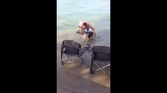 Gunnar Goes Swimming смотреть онлайн