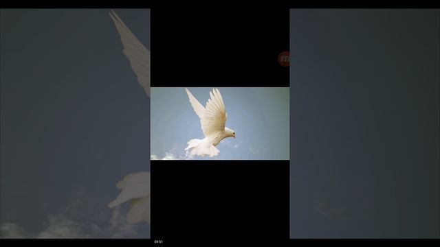 3 Part Dream - Judaizers, Pharisees Thinking Grace is Stinky ,OSAS- Rhonda Empson, Midnight Hour Oi смотреть онлайн