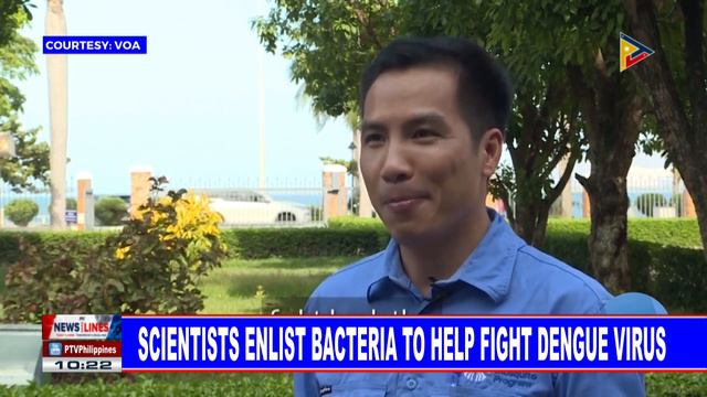 GLOBAL NEWS: Scientist enlist bacteria to help fight dengue virus смотреть онлайн