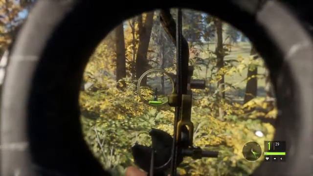 The Hunter Call of the Wild | charging bison смотреть онлайн