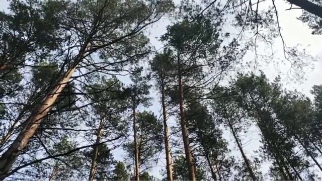 Валентина Голубанева. Эге-гей смотреть онлайн