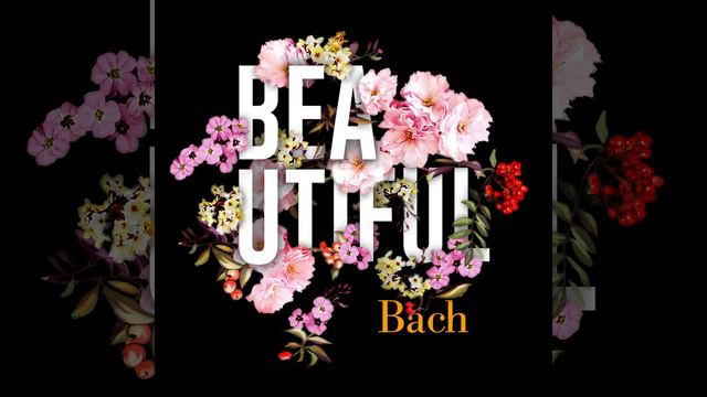 French Suite No. 3 In B Minor, BWV 814: III. Sarabande смотреть онлайн