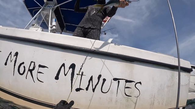 Just A Dog, A Chicken And Me...