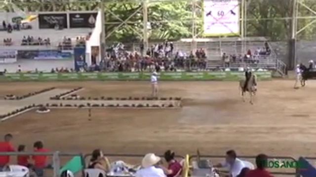 Daniel Buitrago tuluá mpeg4 смотреть онлайн