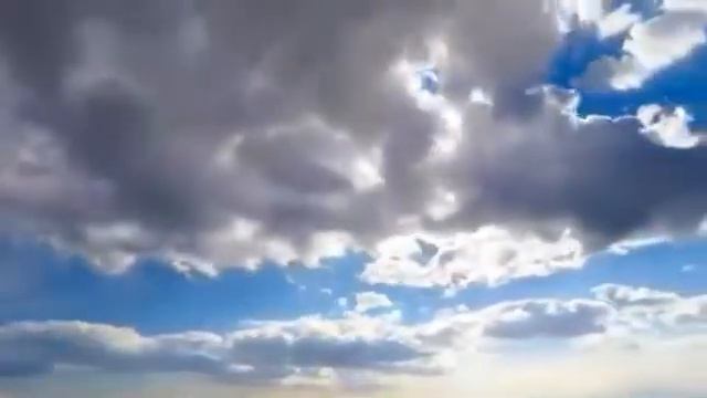 Всичко бе истина | Стихотворение смотреть онлайн