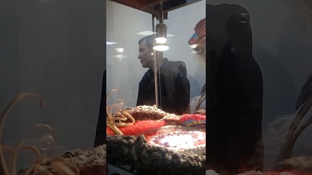 Открытие выставки "Мягкий рельеф" смотреть онлайн