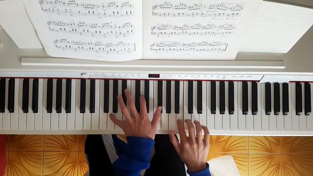 Il mio primo Shubert(my first Schubert)valzer op67 n.15 смотреть онлайн