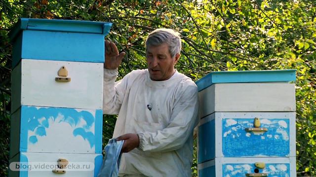 Анонс — Многокорпусные ульи смотреть онлайн
