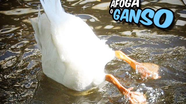 Afoga o Ganso [Exclusiva] смотреть онлайн