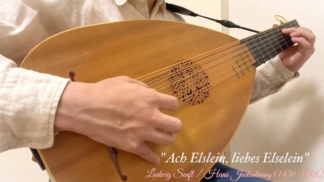 "Ach Elslein, liebes Elselein": Ludwig Senfl / Hans Judenkünig (1450-1526) Played with the Lute смотреть онлайн