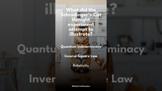 Daily Trivia - Schrodinger's Cat смотреть онлайн