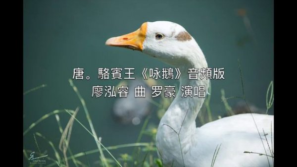 《咏鹅》骆宾王   音頻版 （Audio）（歌曲、朗读、译文、卡拉）Tang Poem （鹅鹅鹅，曲项向天歌。）