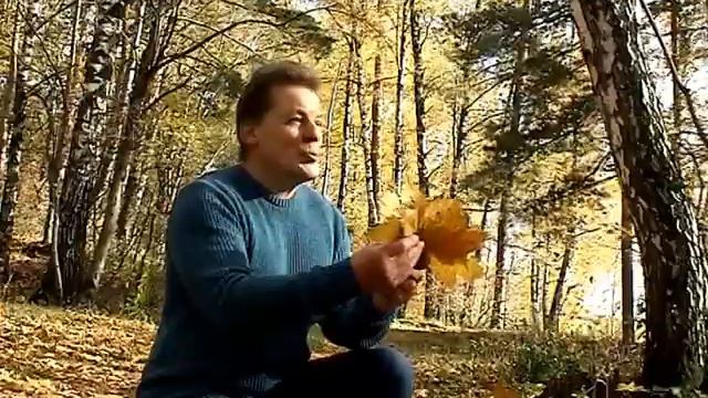 Желтые листья. А. Подъяпольский