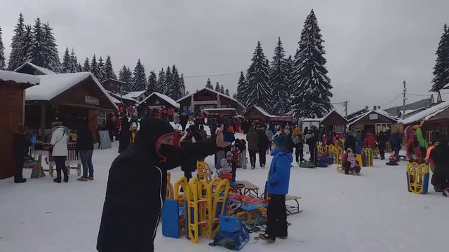 Ștefania la Vârtop Arieșeni смотреть онлайн