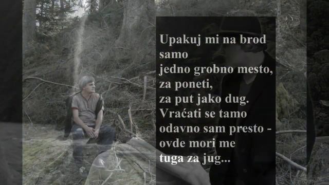 Amerika, to nije za tebe - Rade Jovanović смотреть онлайн