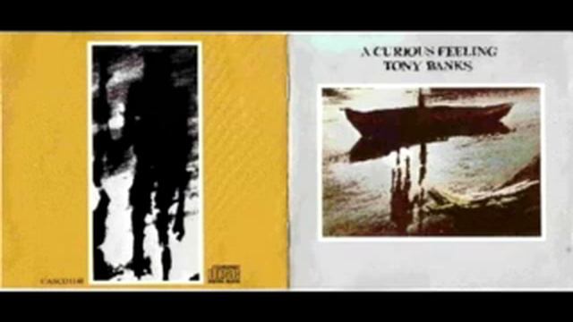 Tony Banks In The Dark