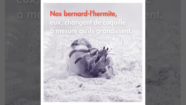 Scopitone 2018 - Spoiler Room 4 # Aki Inomata