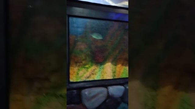 Cox's Bazar..... Fish 🐠 World.....