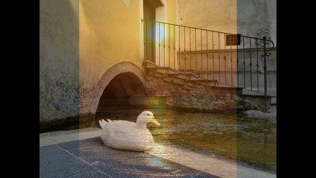 LA MIA BASILICATA   RACCOLTA DI FOTO DI GIOVANNI SALVATORE MOTTA IN TERRA DI LUCANIA