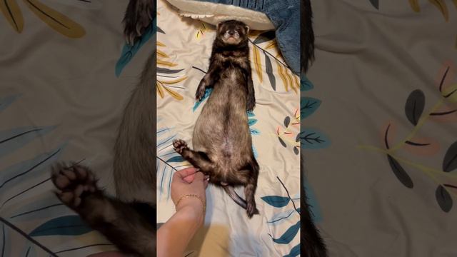 прикол смотреть онлайн