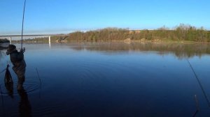Рыбалка на реке Волхов | Поплавочная снасть | Чехонь