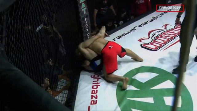 Саламбек Халадов Vs Хаважи Махмудов WFC 12