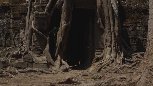 Angkor | Siem Reap | Cambodia смотреть онлайн