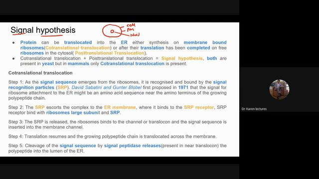 Cytoplasmic structure or Endomembrane Structure(Endoplasmic reticulum) смотреть онлайн