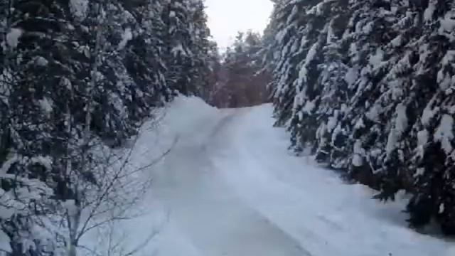 WRC Rally Sweden 2010 смотреть онлайн