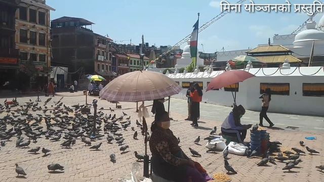 New nepali tamang selo pardesi cheliko kahani||By joglal lama FT jitu lopchan|dorje Glan/mina yonja смотреть онлайн