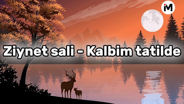 Ziynet Sali - Kalbim Tatilde - (Lyrcs-Mucis Mix)