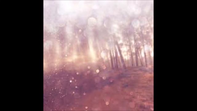 ARIN KRISTAUAK   JOSE MARI SAN SEBASTIAN (AKORDEOIA)