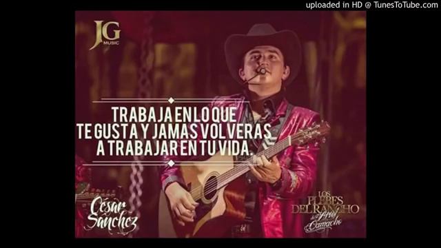 "BASTA YA " /LOS PLEBES DEL RANCHO ( INEDITA CESAR SANCHES ) смотреть онлайн