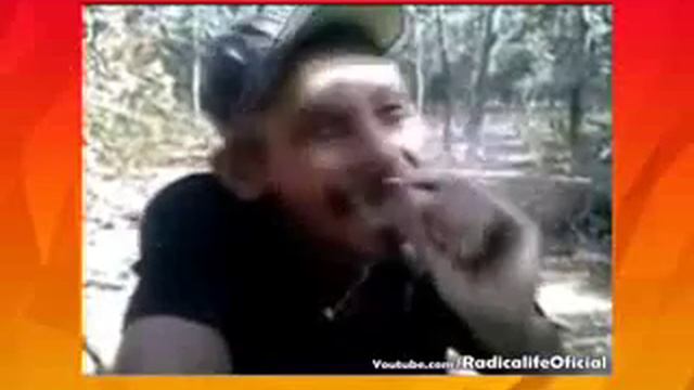 Dia D Vendedora De Quebra-queixo