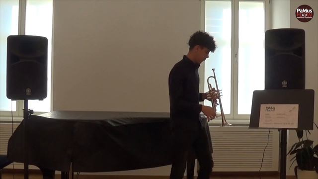 Marin Šarić - PaMus Flow Global Music Competition 2021, Trumpet Category C смотреть онлайн