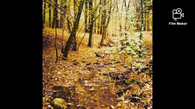 "Ti conosco" di Charles Bukowski смотреть онлайн