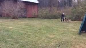 Wilda, Otton viikonloppu nro 2, pätkä 4