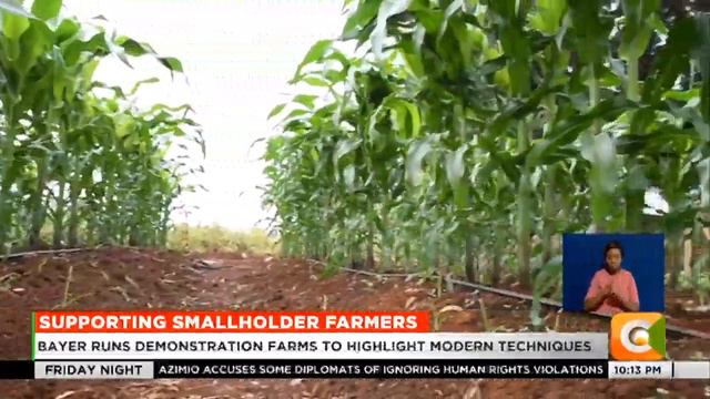 Bayer to deepen support for smallholder farmers смотреть онлайн