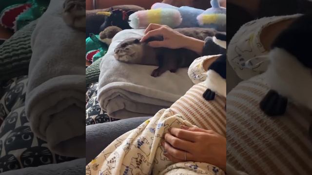 прикол смотреть онлайн