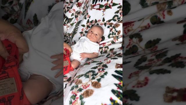 Reborn Baby Carter is here! (Ava kit by Cassie Brace). Part 1 смотреть онлайн