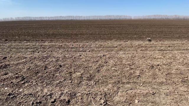 Полевой обзор. Борона зубовая шлейфовая БЗШ-18 смотреть онлайн