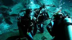 Mergulho, Playa del Carmen, México