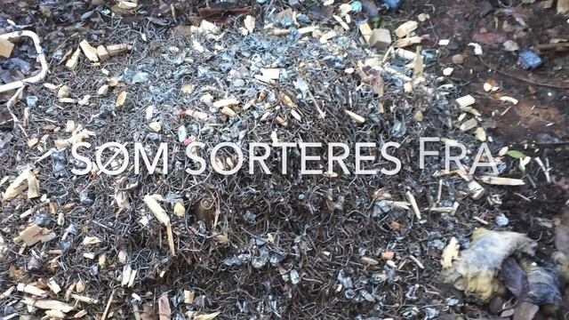 Astrup Savværk смотреть онлайн