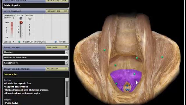 الجثة الالكترونية كاملة الجزء الاول by said mustafa смотреть онлайн