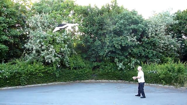 Alan Flying Zero Wind Kite .Thomas K Horvath, Hybrid 200 смотреть онлайн