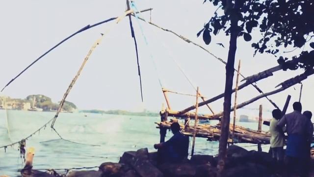 Anish Kapoor's whirlpool , a couple of bonking sparrows & some pretty fishing in Cochin (India) смотреть онлайн