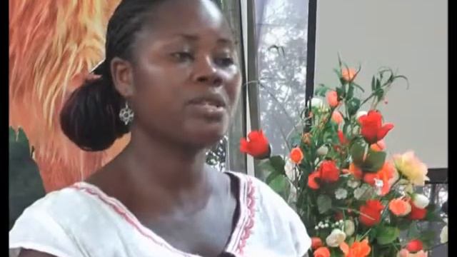 Interviews of Singles on The Marriage House book by Dr. John Kpikpi смотреть онлайн