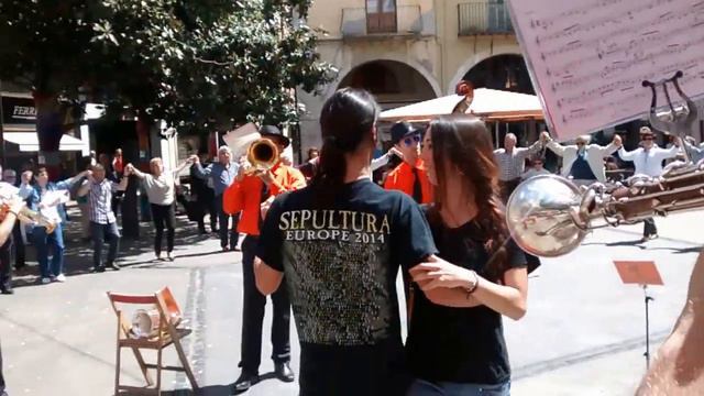 SARDAXOU TV Cobla Contemporània L'abella Picapedra D'en Robert Agustina