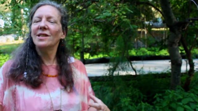 Plant Medicine Series: Wood Betony смотреть онлайн