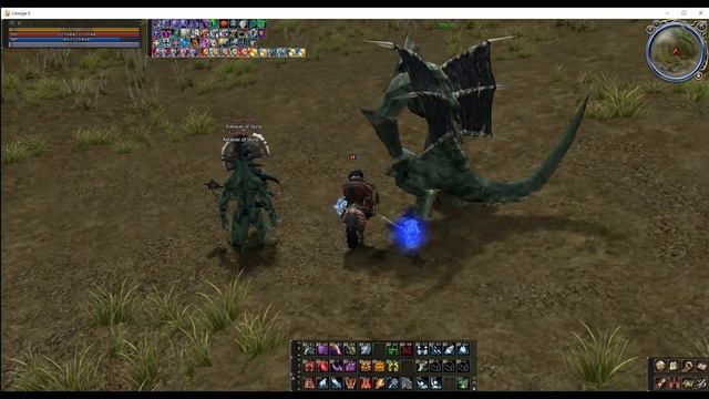 Lineage 2 Raid Boss Level 32 Skyla (Скайла) на карте #lineage2 смотреть онлайн